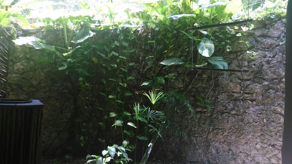 Villas Eco-Románticas Kúuch Ka´anil Bacalar Esterno foto